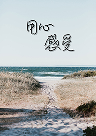 ���ĸ���