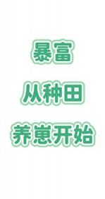 ���������������̿�ʼ