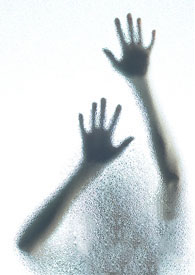 �����ԵĽ���¼